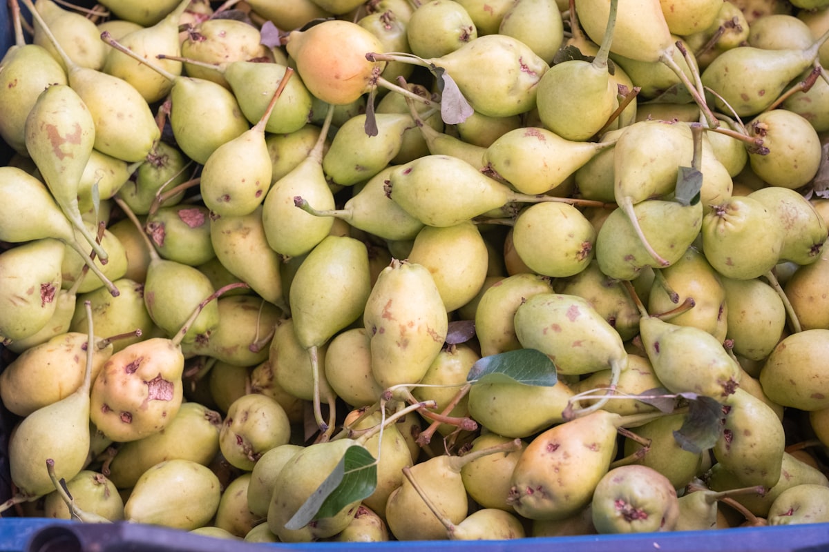 Καθαρές αχλάδες της Fruitcareessence